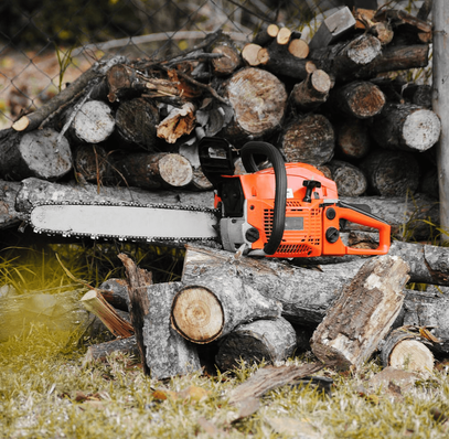 B&D Tree Service