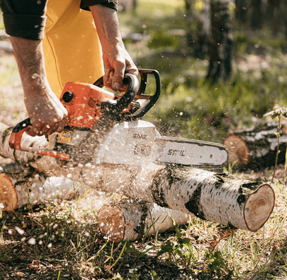 B&D Tree Service