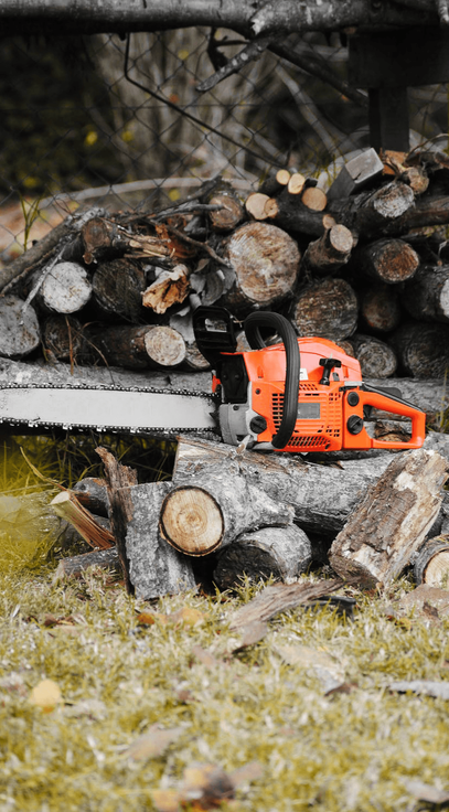 B&D Tree Service