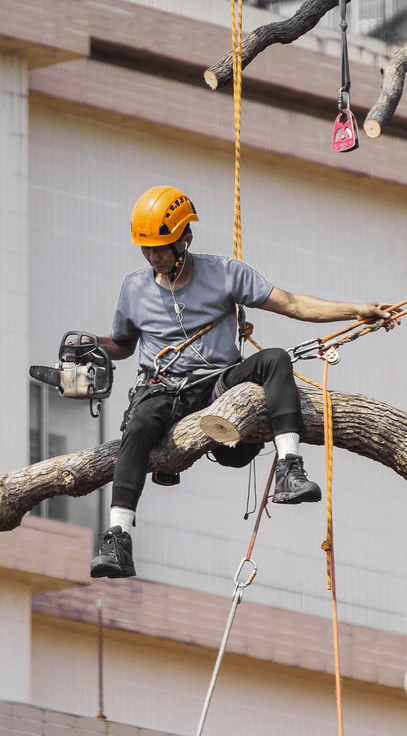 B&D Tree Service