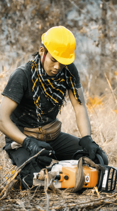 B&D Tree Service