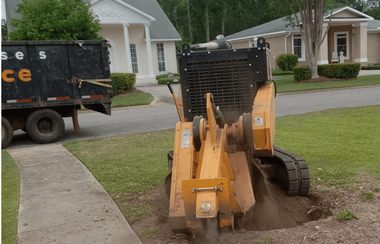 Stump Grinding service of B&D Tree Service of Dothan, Alabama