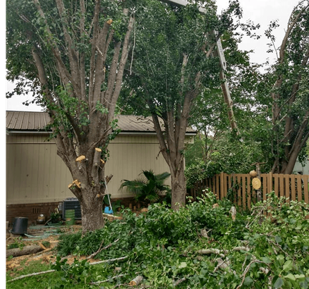 B&D Tree Service