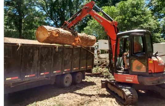B&D Tree Removal service