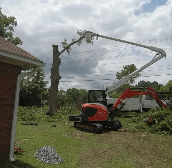 Cranes are used to safely and professionally remove trees. B&D Tree Service of Dothan, Kinsey, Alabama