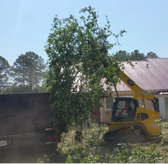 B&D Tree Service of Dothan, Kinsey, and Alabama uses many operating machines to get the job done.