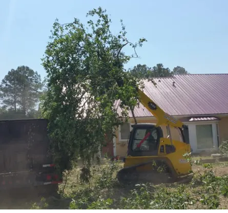 B&D Tree Service