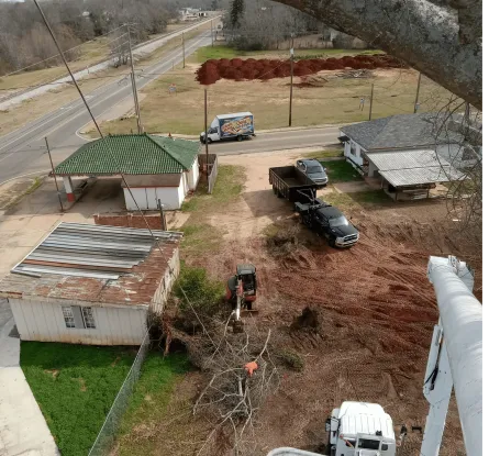 B&D Tree Service