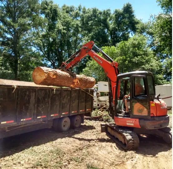B&D Tree Service of Dothan, Kinsey, and Alabama uses top brand machinery to clear all debris from your land.