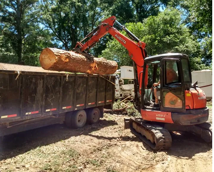 B&D tree service of Dothan, Alabama, job image for residential tree service