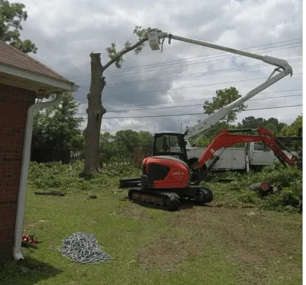 B&D Tree Service